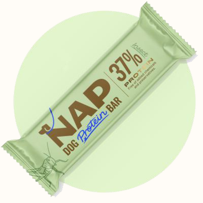 Barrita energética NAP insecto para perros